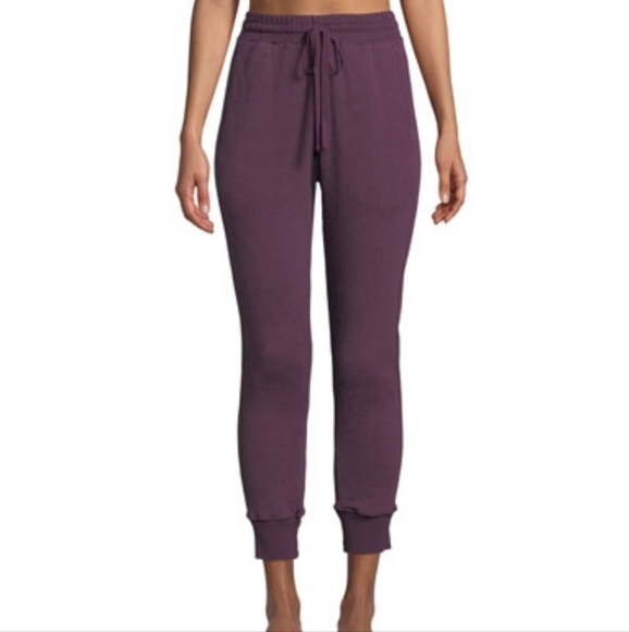 Xirena Taylor Desert Trip‎ Jogger Pants - Picture 1 of 9
